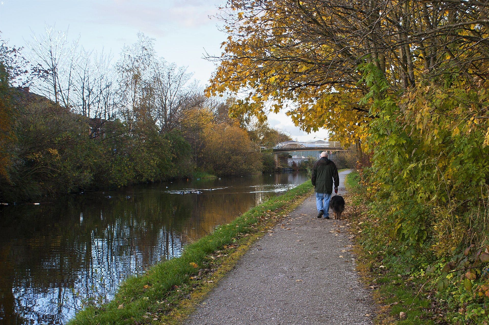 A man walking his dog along a canal towpath in autumn