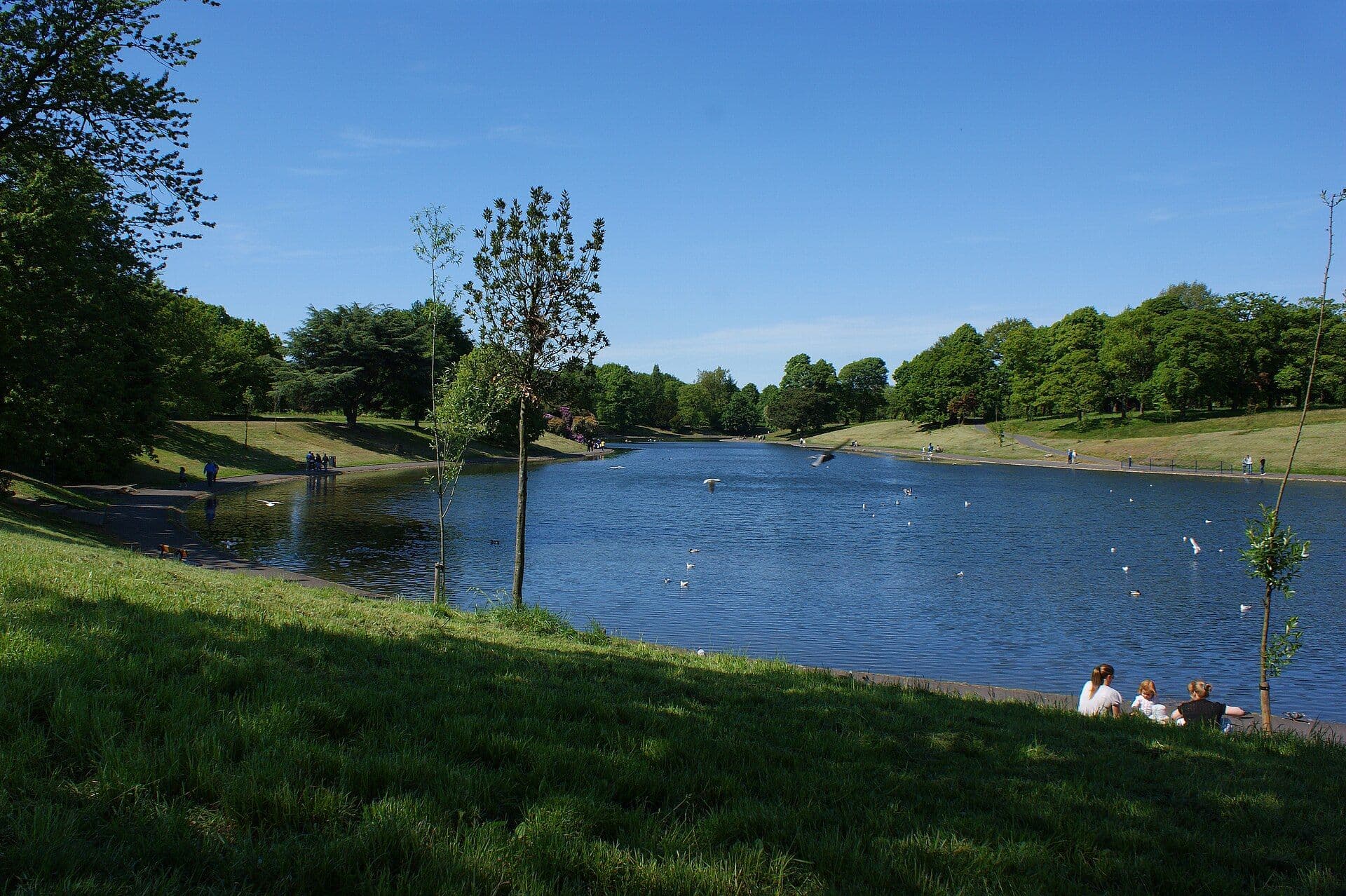 The lake in Sefton Park, Liverpool, on a sunny day