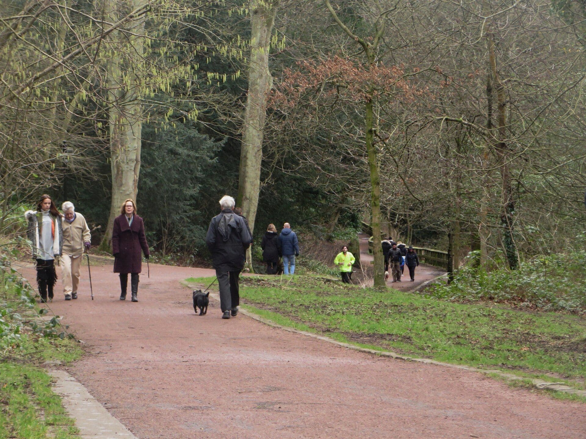 People walking a dog along a path in Jesmond Dene, Newcastle