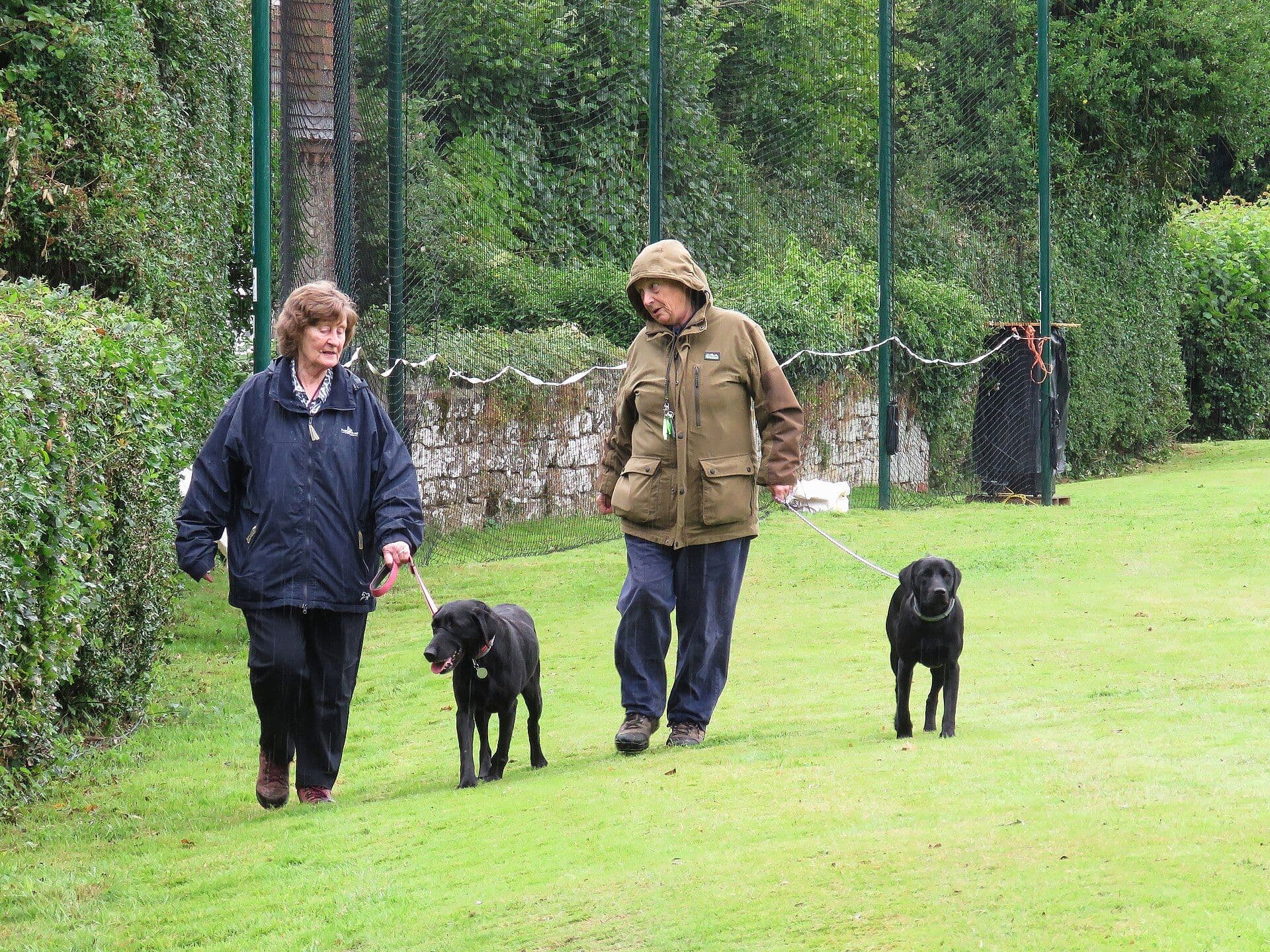Two people walking their black Labradors across a village green